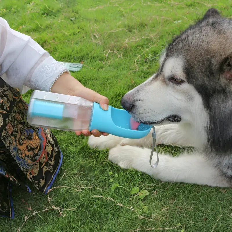 Dog drinking from Portable Cat Dog Water Bottle with Food Feeder Drinker.