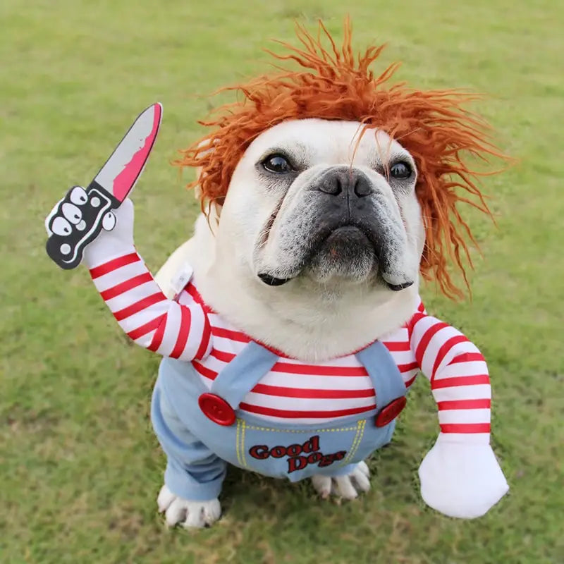 Dog wearing Chucky costume in Adjustable Halloween Pet Costume for Dogs funny clothes.