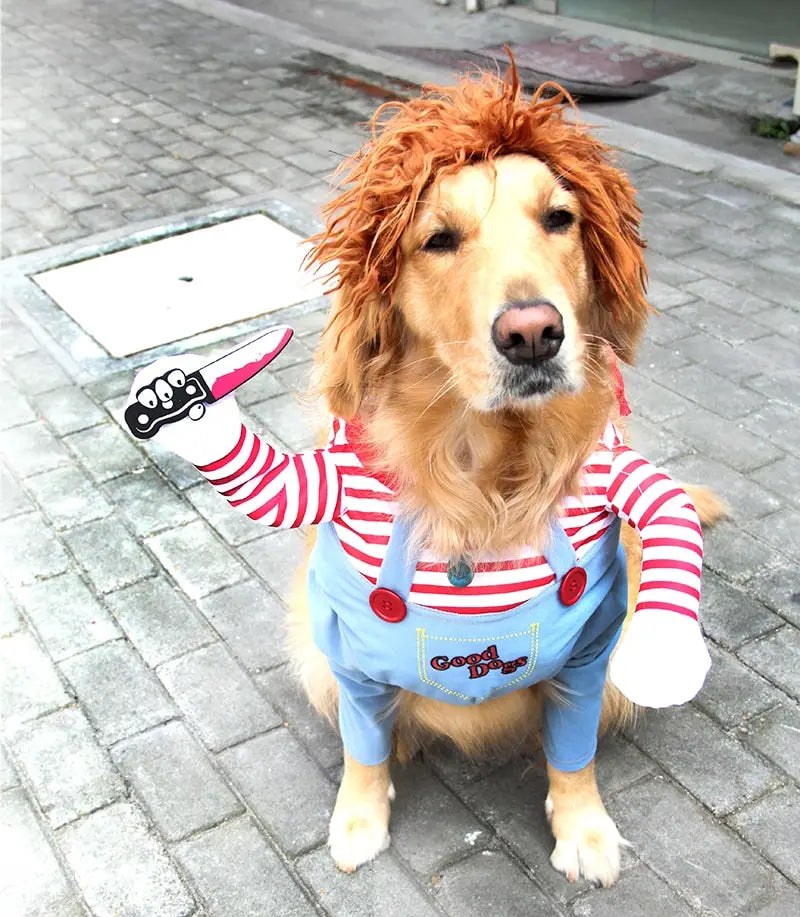 Golden Retriever in Chucky costume wearing adjustable Halloween pet costume for dogs