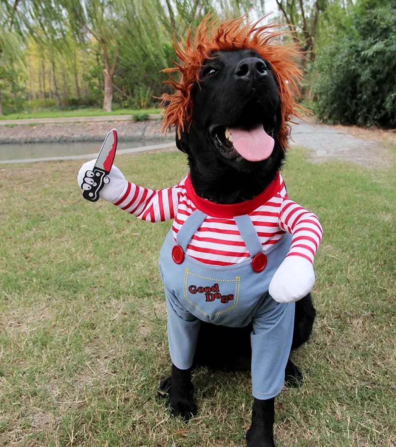 Black dog in Chucky costume wearing adjustable Halloween pet costume for dogs.