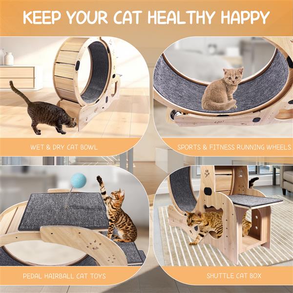 Cat Wheel 6-in-1 Cat Sports Wheel Upgraded Indoor Cat Wheel Sports Device