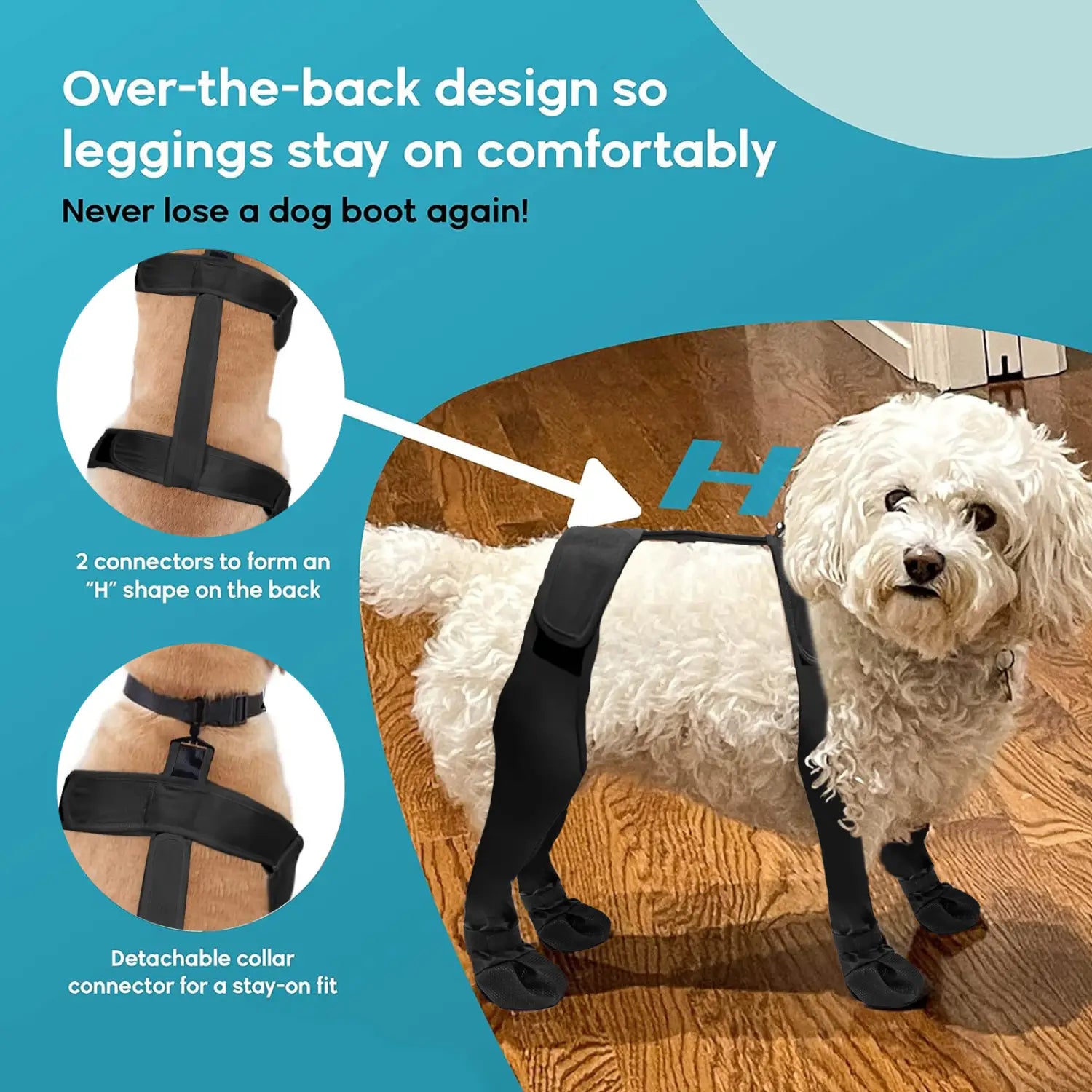 Dog wearing black leggings and boots anti dirty with harness for outdoor adventures.