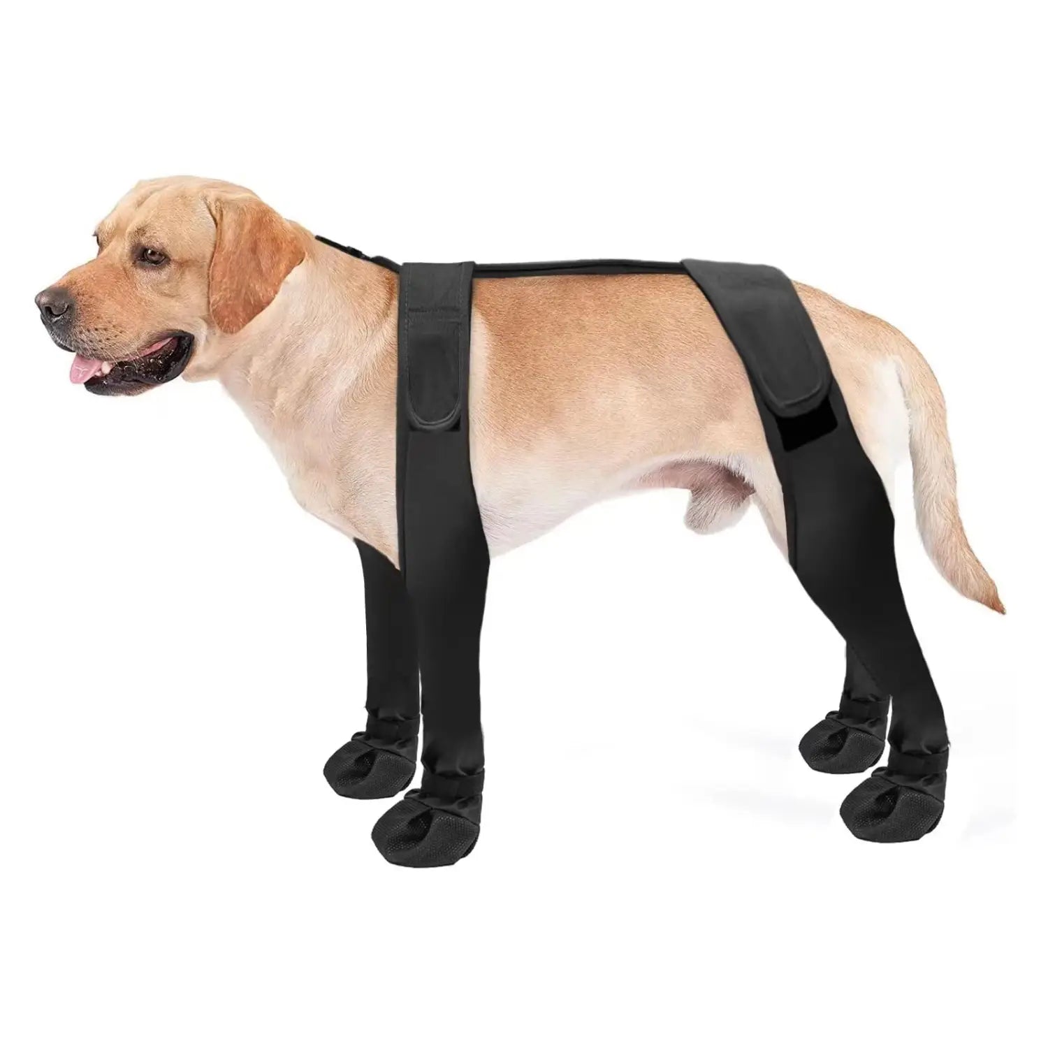 Dog wearing black leg wraps with waterproof dog shoes anti dirty for outdoor adventures