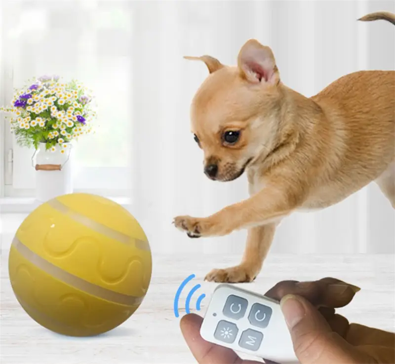 Yellow dog toy ball with remote control for the Intelligent USB Cat Wicked Ball Toy.