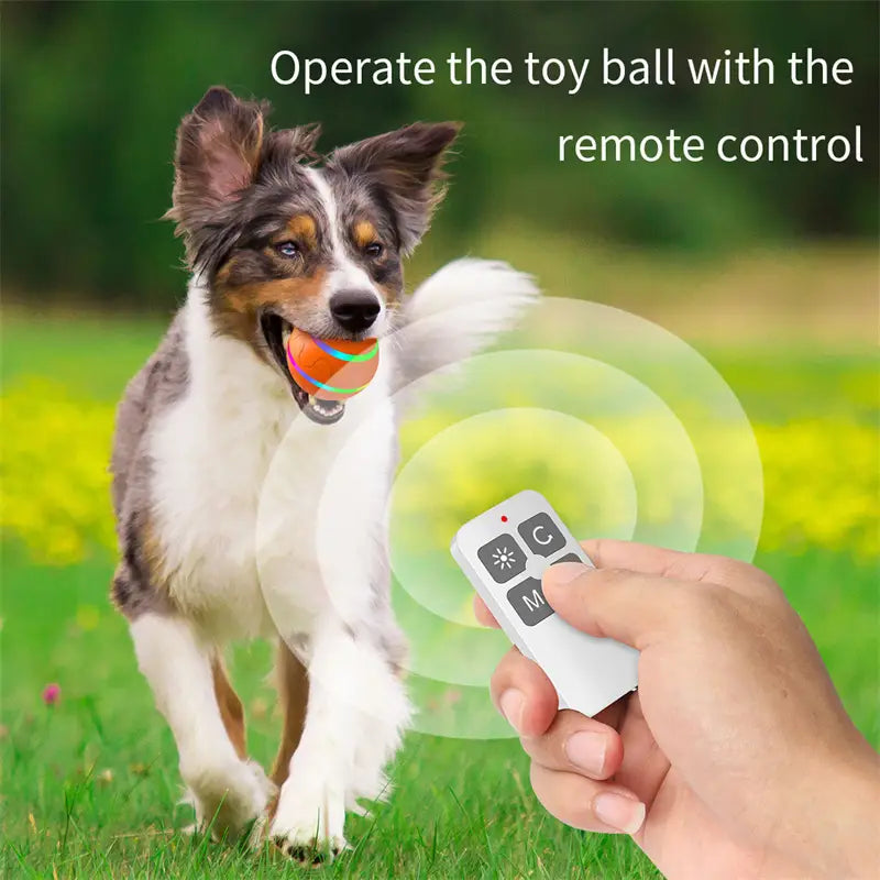 Remote-controlled Intelligent USB Cat Wicked Ball Toy for fun playtime and engagement.