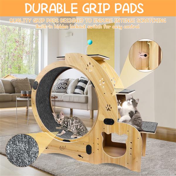 Cat Wheel 6-in-1 Cat Sports Wheel Upgraded Indoor Cat Wheel Sports Device