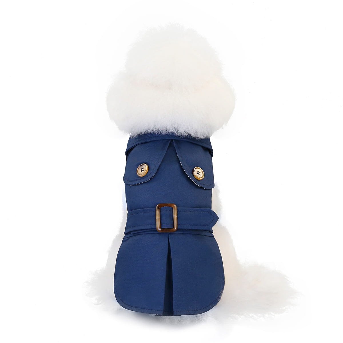 Blue Dog in a stylish three color windbreaker, perfect for trendy dog clothes.