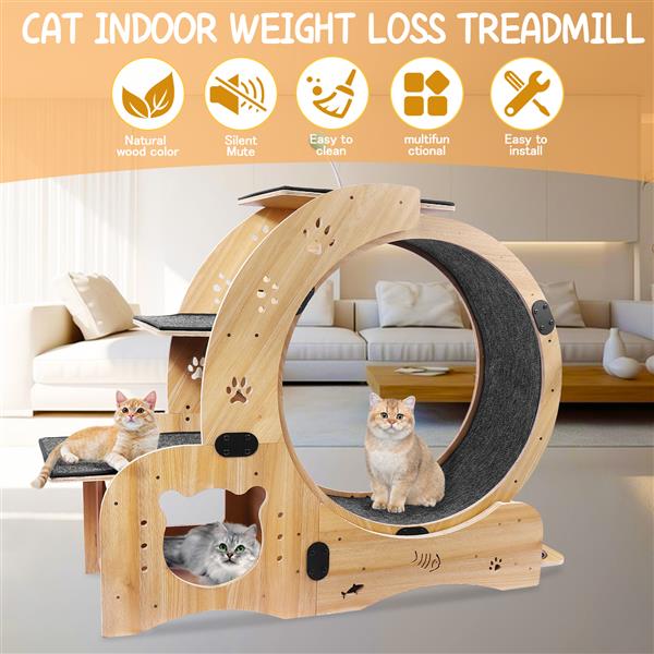 Cat Wheel 6-in-1 Cat Sports Wheel Upgraded Indoor Cat Wheel Sports Device