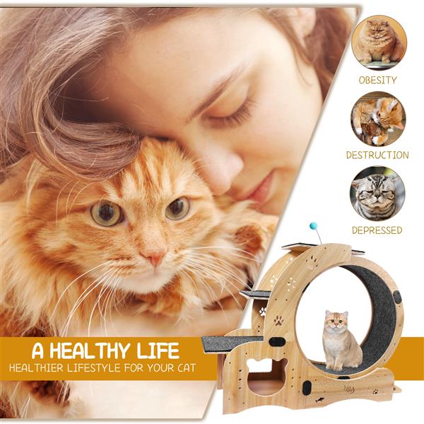 Cat Wheel 6-in-1 Cat Sports Wheel Upgraded Indoor Cat Wheel Sports Device