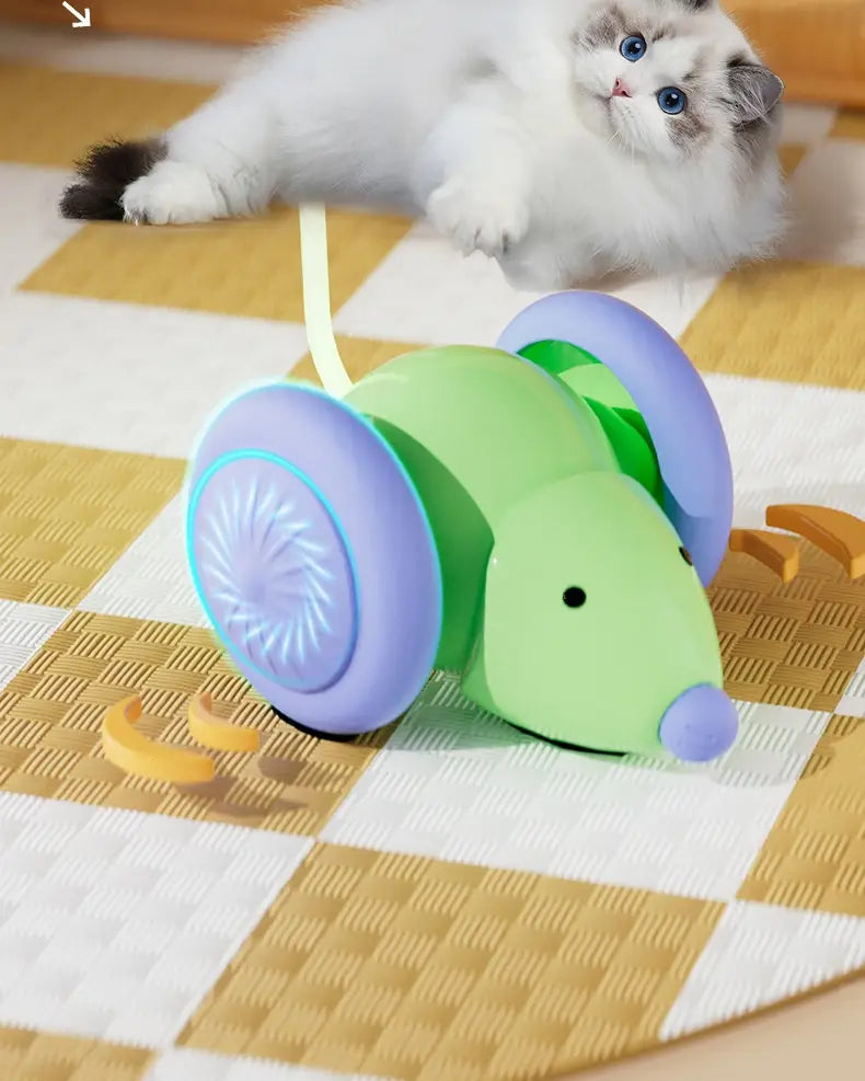 Green toy mouse with purple wheels for Cat Running Car Stuffy Electric Toy relaxation.