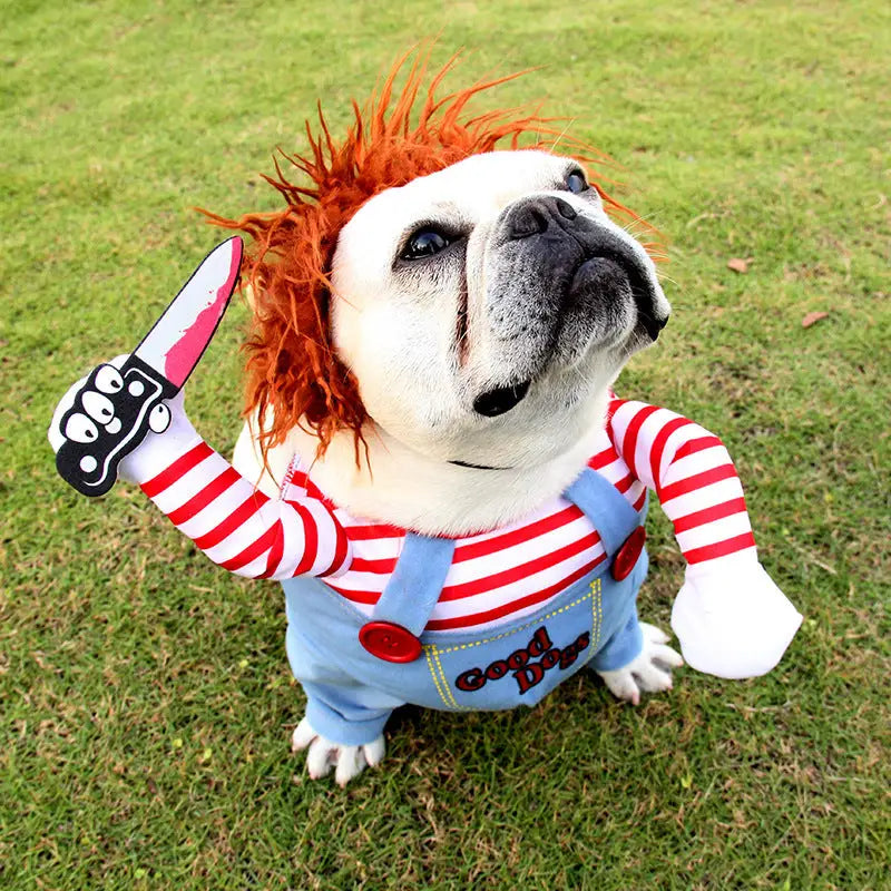 Bulldog dressed in Chucky costume featuring adjustable Halloween pet costume for dogs