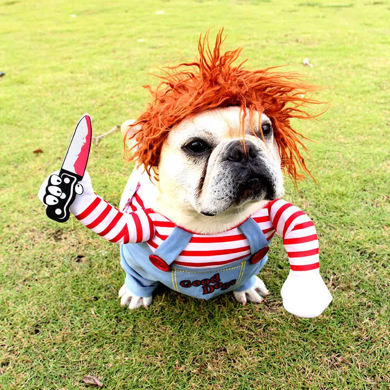 Dog in Adjustable Halloween Pet Costume as Chucky wearing funny clothes for dogs