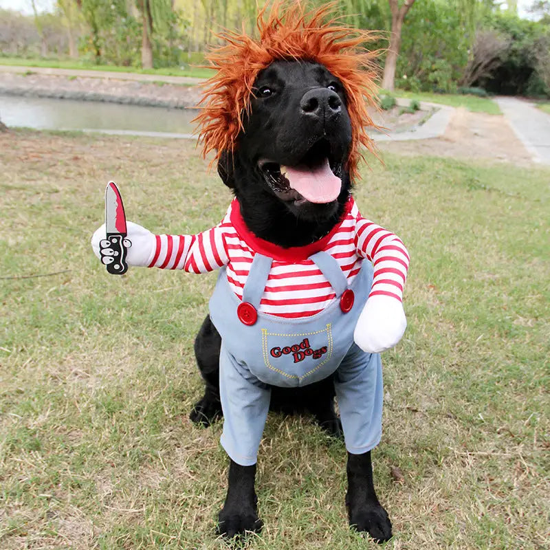 Dog in Chucky costume wearing adjustable Halloween pet costume for funny dog clothes