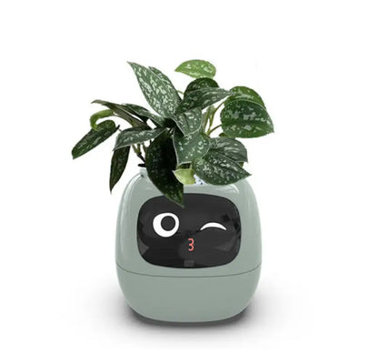 AI Chips for Easy and Fun Plant Raising - Light Green / Small - ai