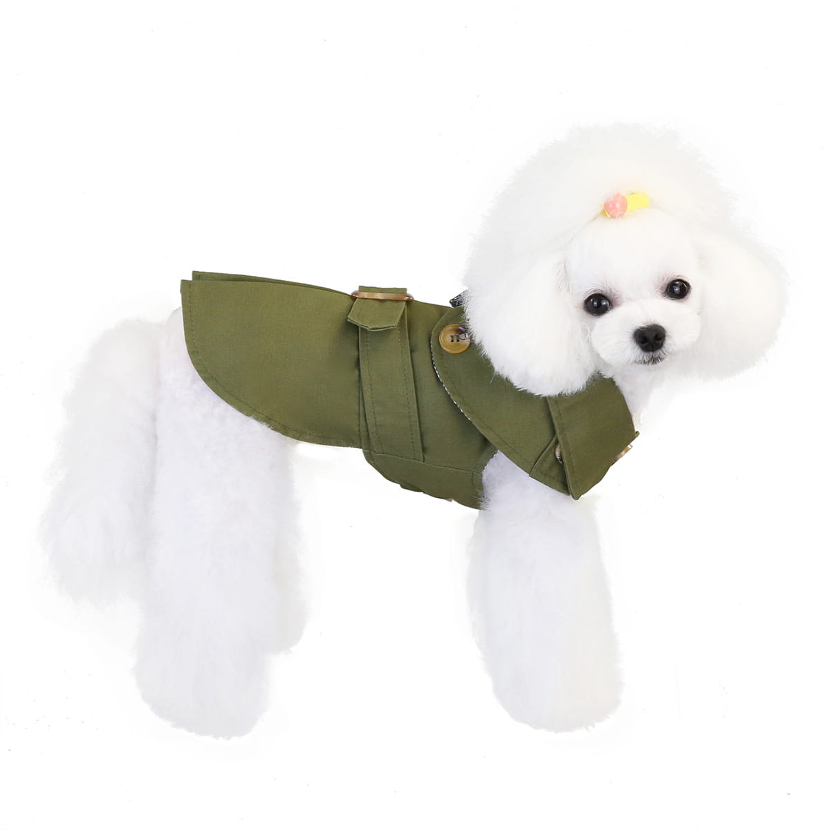 White Poodle in Olive Green Jacket showcasing Three Color Windbreaker for trendy dog clothes