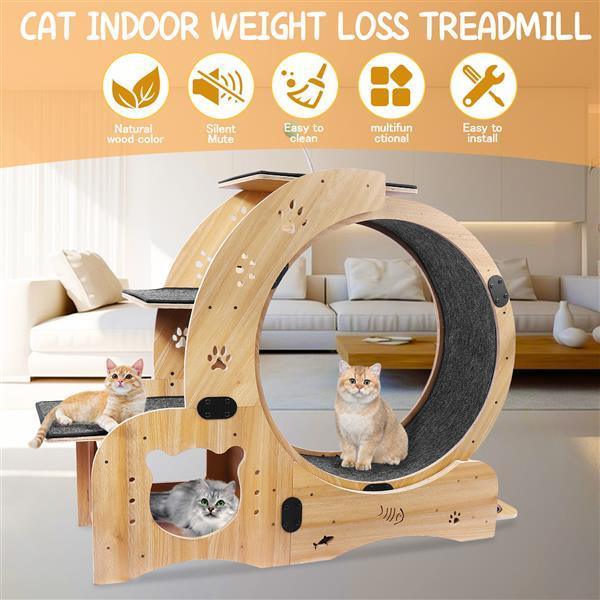 Cat Wheel 6-in-1 Cat Sports Wheel Upgraded Indoor Cat Wheel Sports Device - Wood - 369