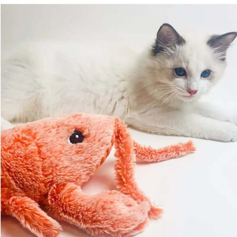 White cat with blue eyes playing with Electric Jumping Shrimp USB Charging Simulation Lobster plush