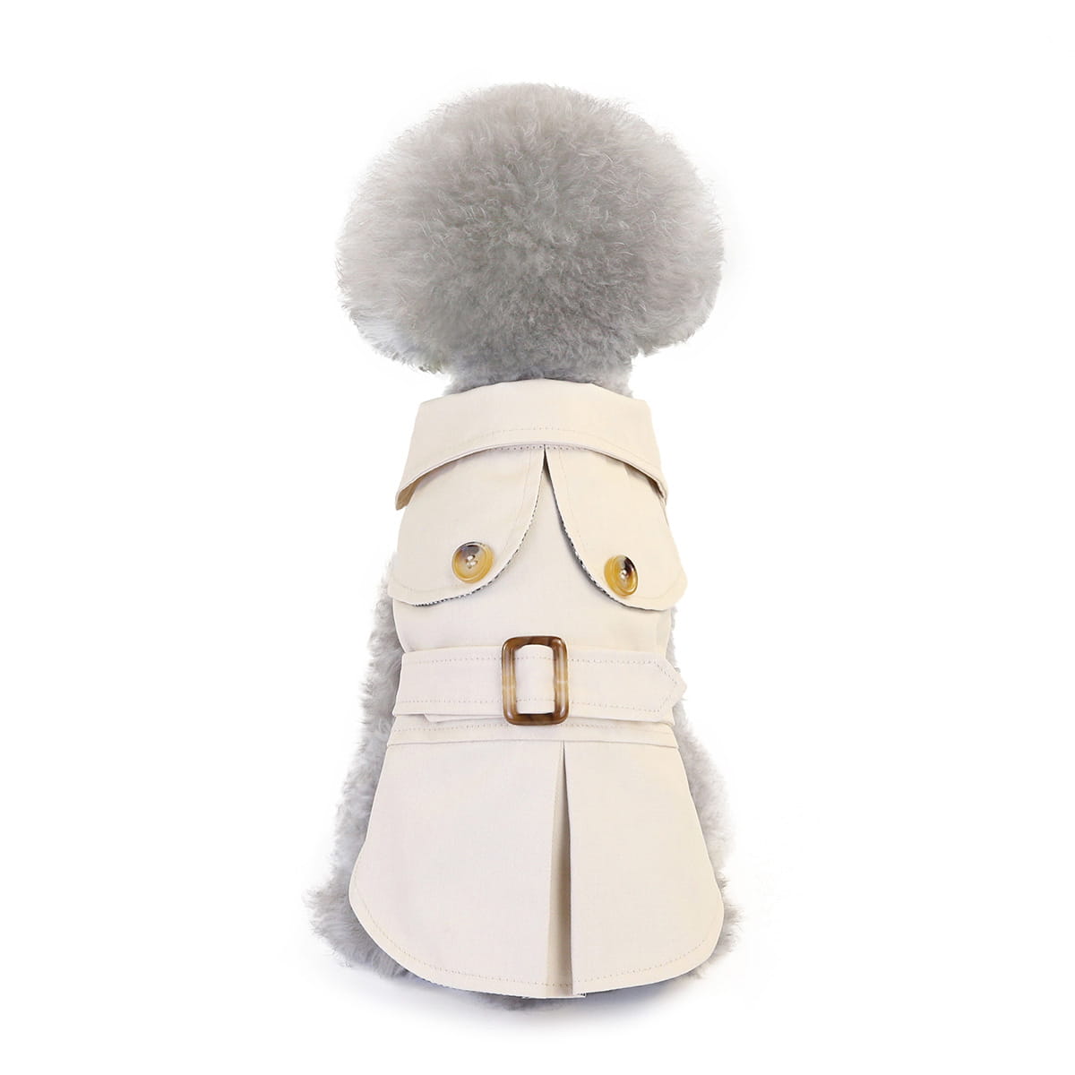 Gray Poodle in cream trench coat showcasing trendy dog clothes and three color windbreaker.