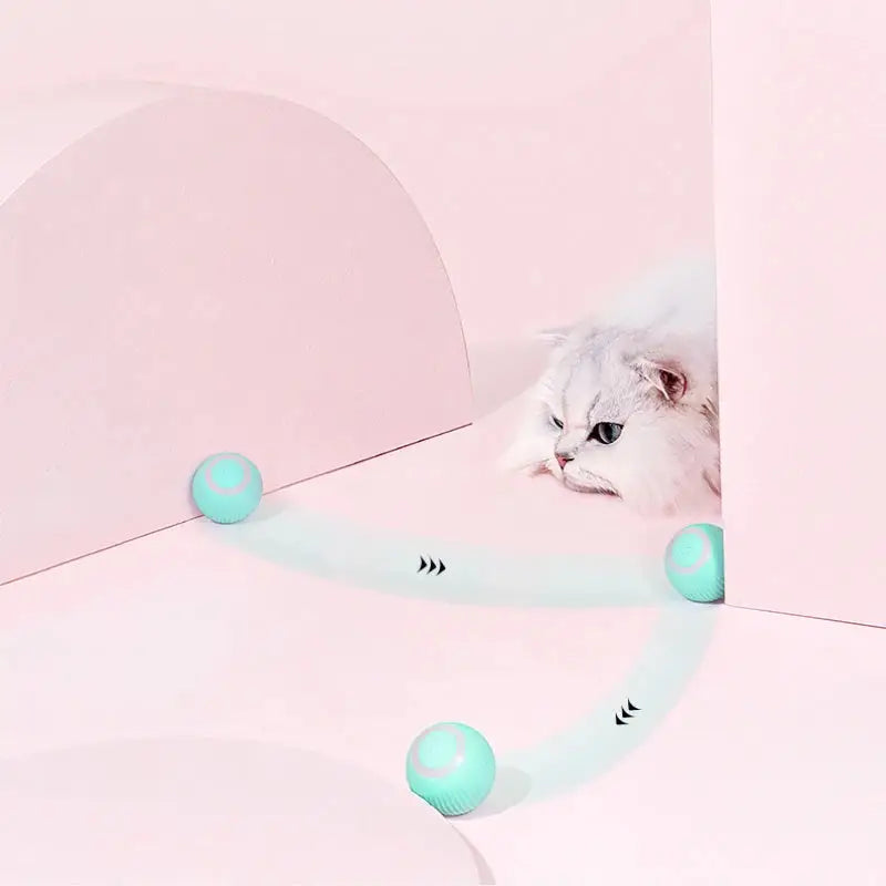 Interactive Cat Car Toy USB Charging with Remote Control for playful cats and kittens