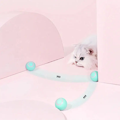 Interactive Cat Car Toy USB Charging with Remote Control for playful cats and kittens