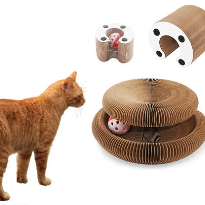 Orange cat playing with Magic Organ Cat Scratch Board Toy and cardboard toys