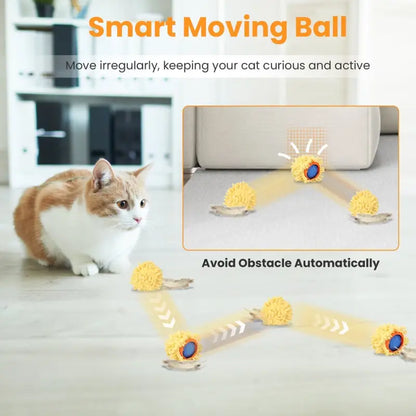 Motion Activated Interactive Cat Toy Ball with Pouch Rechargeable Function for playful pets