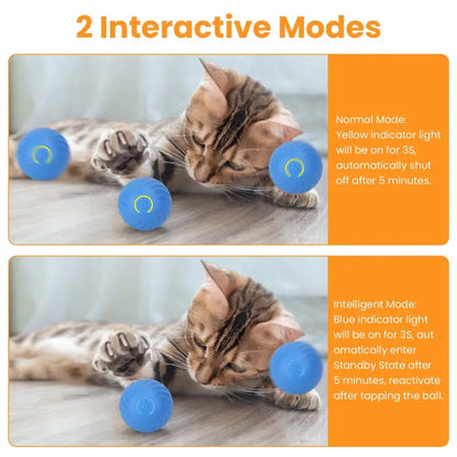 Motion Activated Interactive Cat Toy Ball with Pouch Rechargeable Function in use