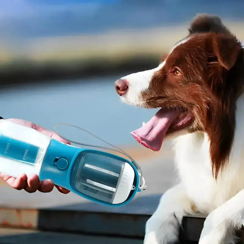 Portable small multi-functional pet cups for on-the-go dog hydration solutions