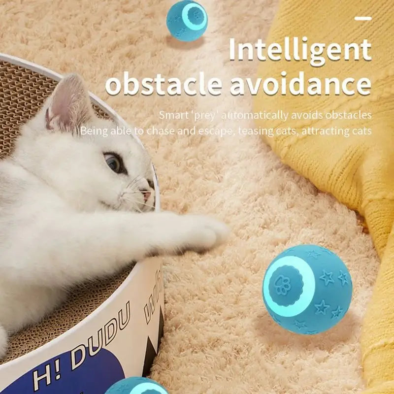 Cat playing with Rechargeable Smart Ball Cat Toy for active exercise and fun