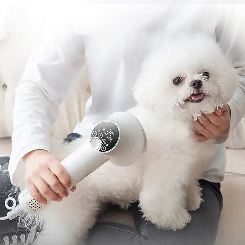 White Pet Hair Dryer for Cat Grooming and Golden Retriever Care in use