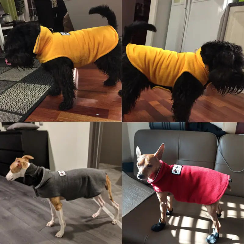 Dogs in colorful fleece jackets from Thickened Warm Pet Winter Dog Clothes collection