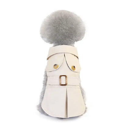 Dog in cream trench coat showcasing the Three Color Windbreaker for trendy dog clothes