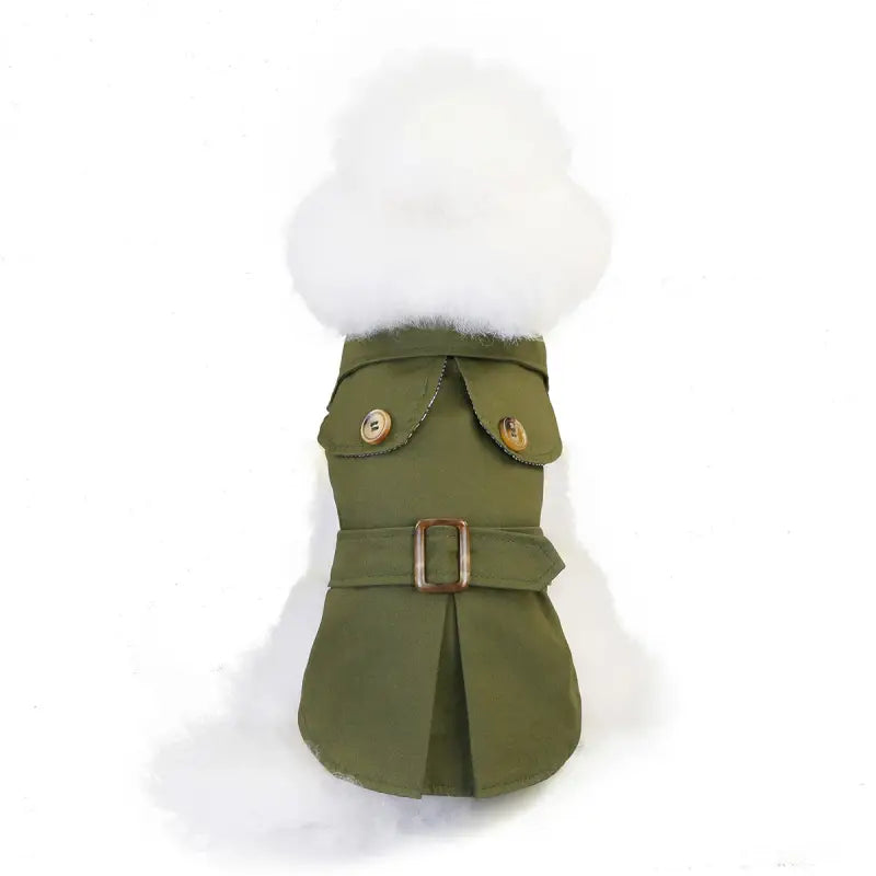 Olive green trench coat from Three Color Windbreaker for trendy dog clothes